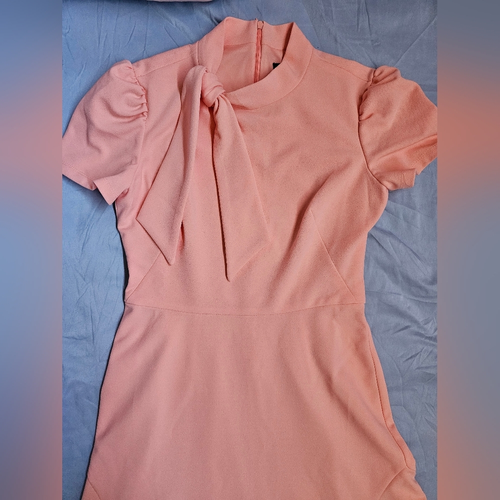 Ivy+ Blue short sleeve fit + flare dress.